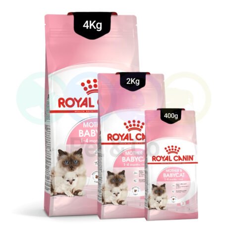 Royal canin Kibbles for Kittens & Pregnant Cats