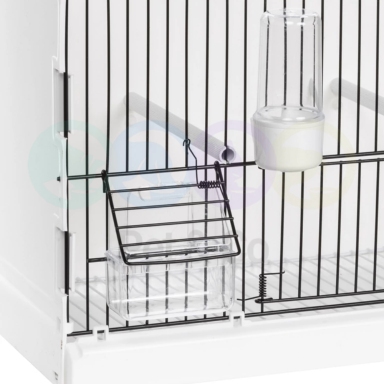 179304820_299879535091382_4264679282670048211_n