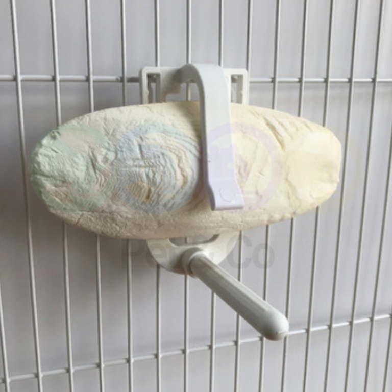 179607647_974502323085209_1338107794933263684_n