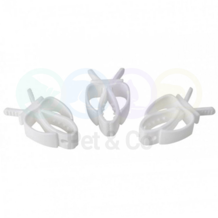 179675387_223881226202448_2612691443652394893_n