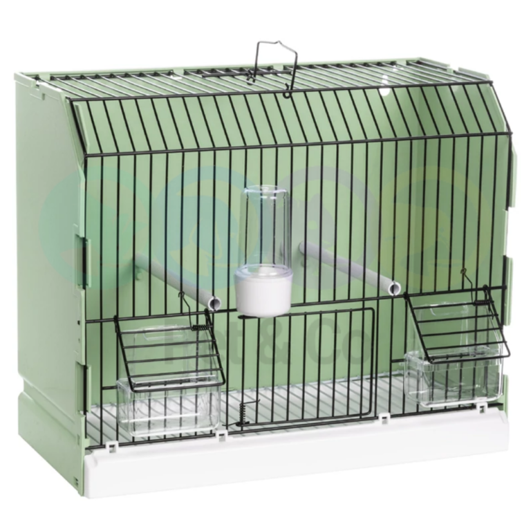 179898306_3000094650314844_3461183857670792125_n