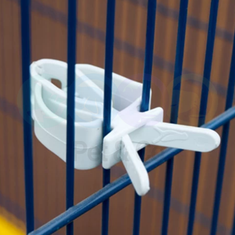 180219326_1116826402152493_851850011781741883_n