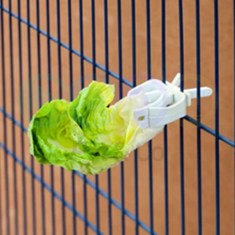 180298427_2862069494045907_6516856642775892104_n