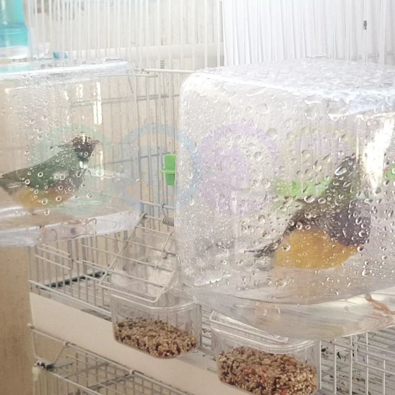 180583783_138610494912043_3669104056900296374_n