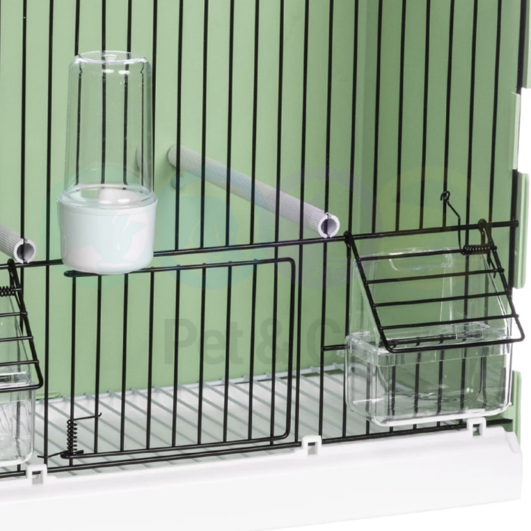 181106239_1631776850546111_3152615262663896570_n