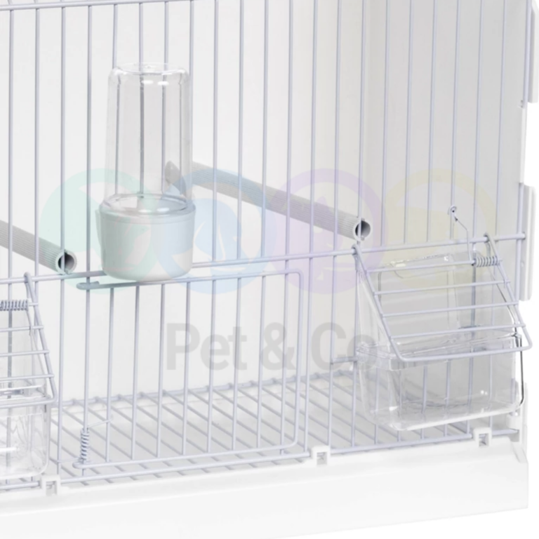 181189219_941283049972857_1567551078600192116_n