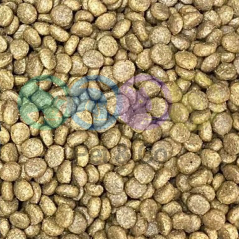 183175509_204310818015914_5360064620658578865_n