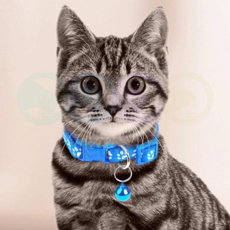 184135528_802274953753005_3639052448151368676_n