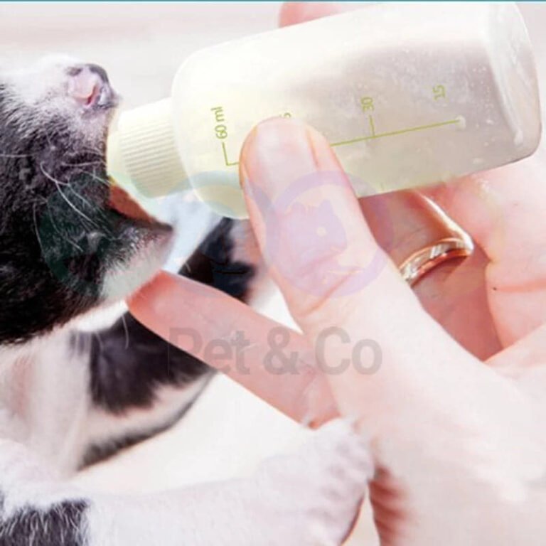 186500160_294215332422340_6784587038676779039_n