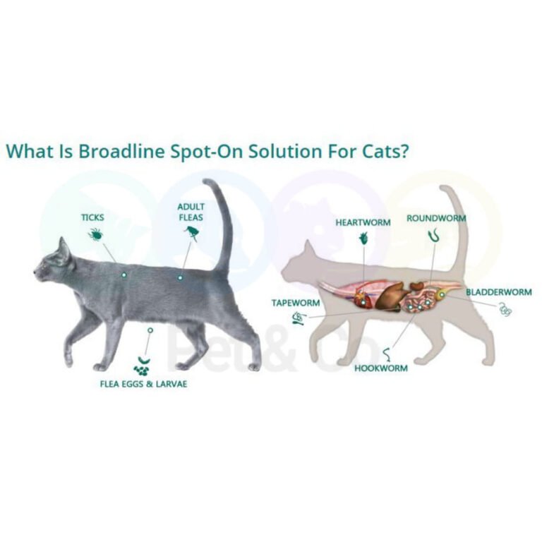 186513473_480114613240674_7322829981447123599_n