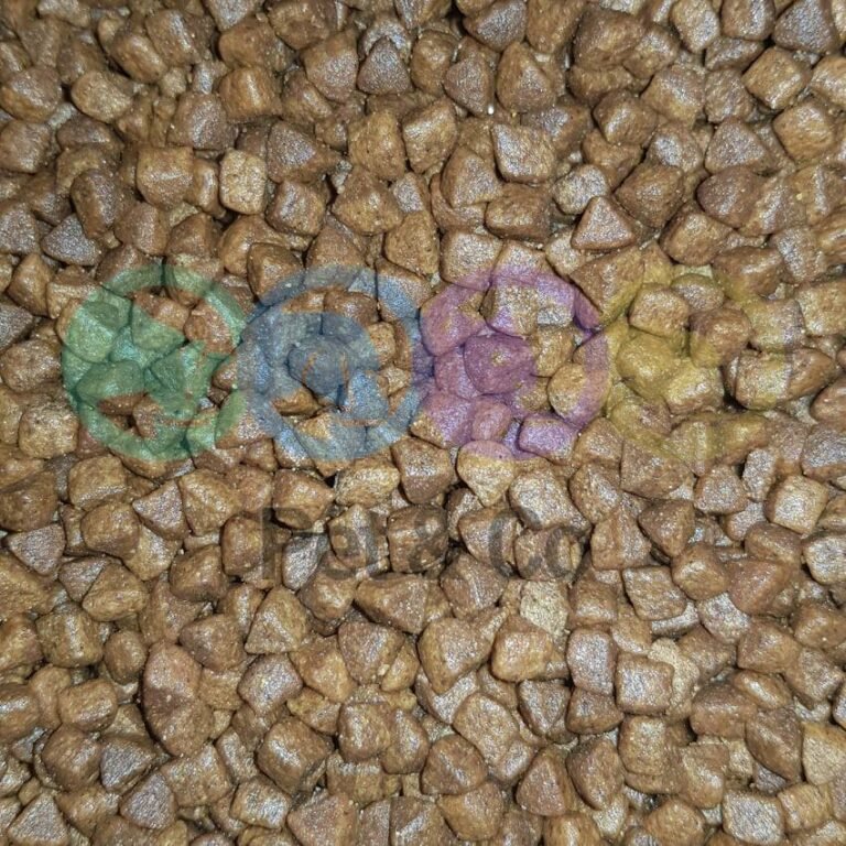 Kitten au Poulet - Reflex plus