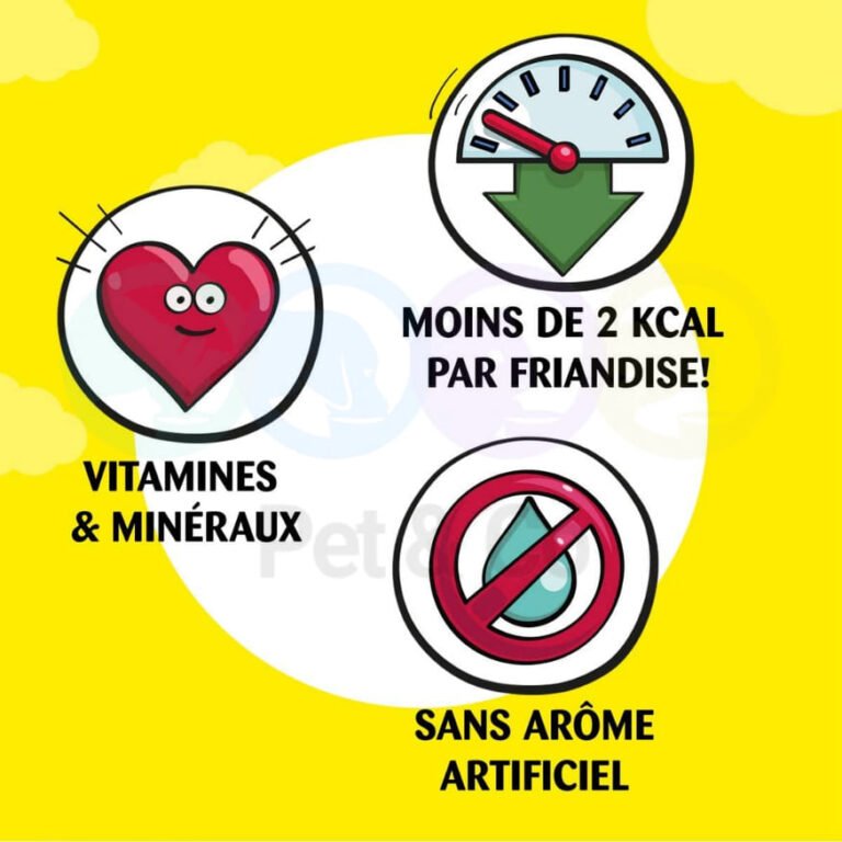 187955079_494271551624938_1790391266266474408_n