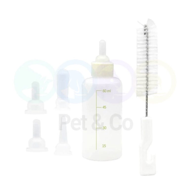 190250386_335120261356639_1051550329906356184_n