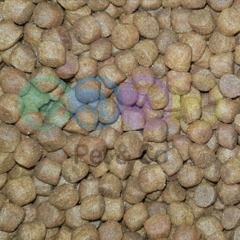 Adulte au Poulet - Reflex Plus