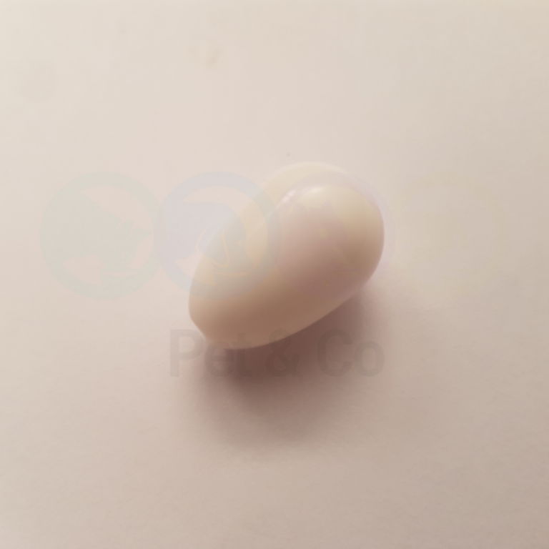 Petit Oeufs en plastic - Polmark