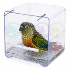 Bird Exterior Bathtub Reggio 2GR