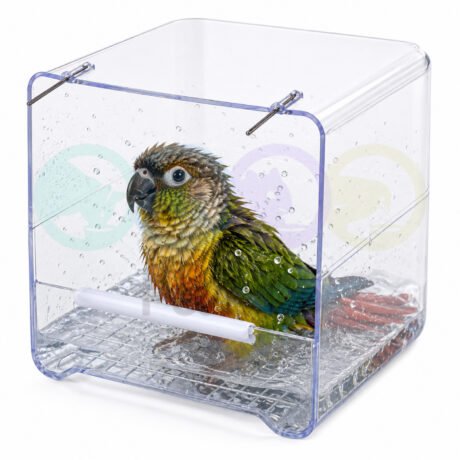 Bird Exterior Bathtub Reggio 2GR