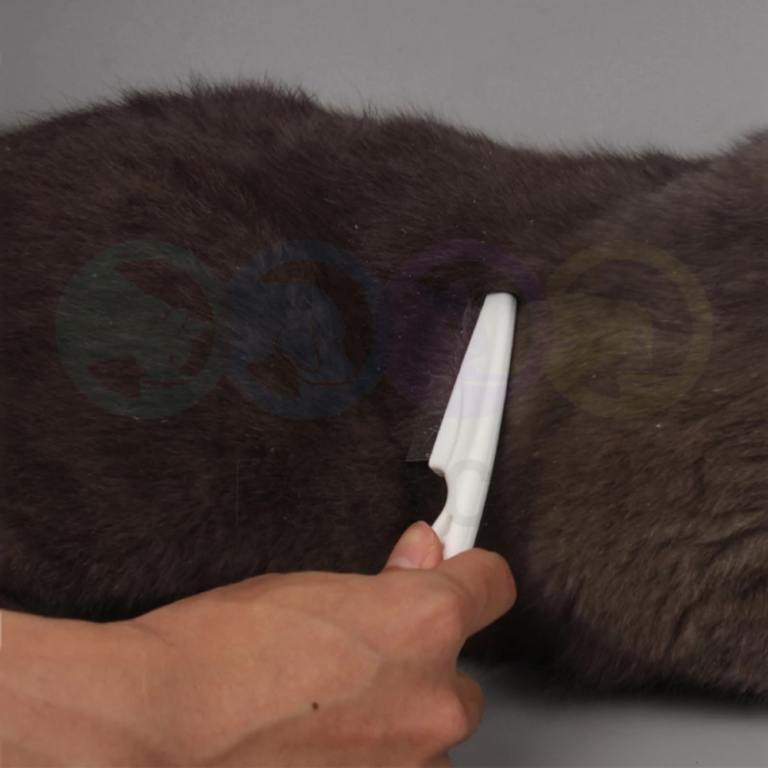 131472168_936081373636454_4285135631716053063_n