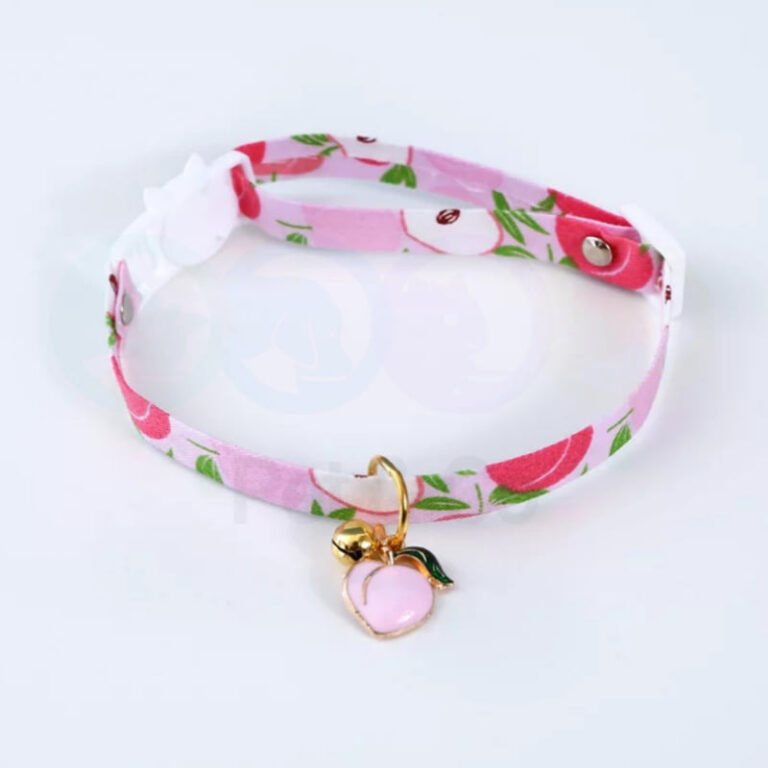 Collier de chat pêche avec cloche