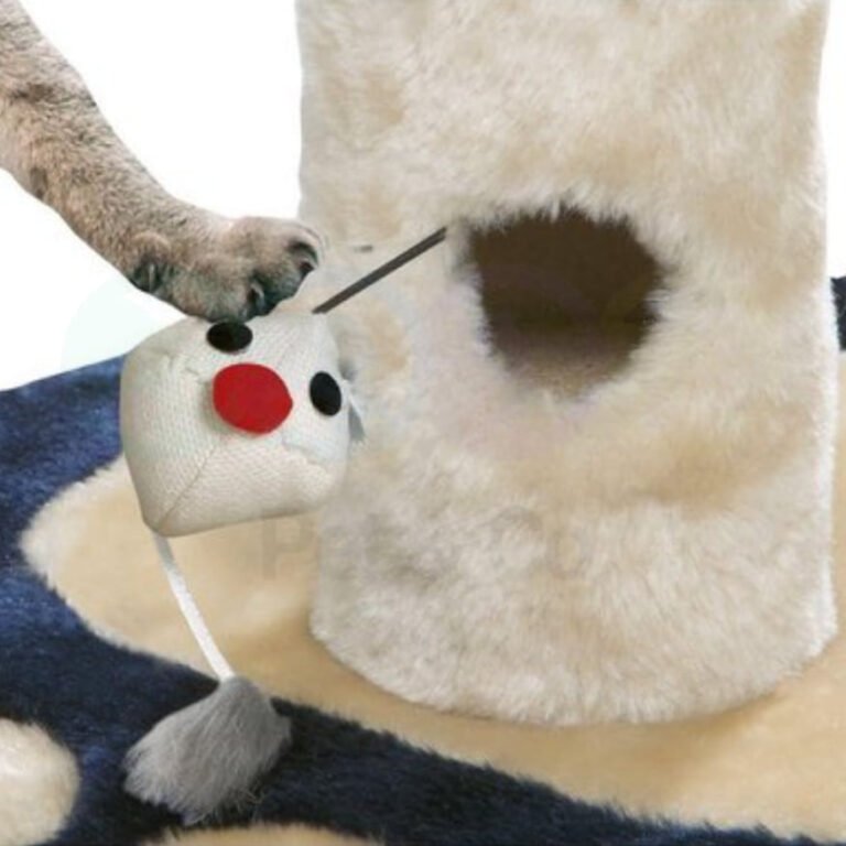 193124245_202032755005000_3911661979921531232_n