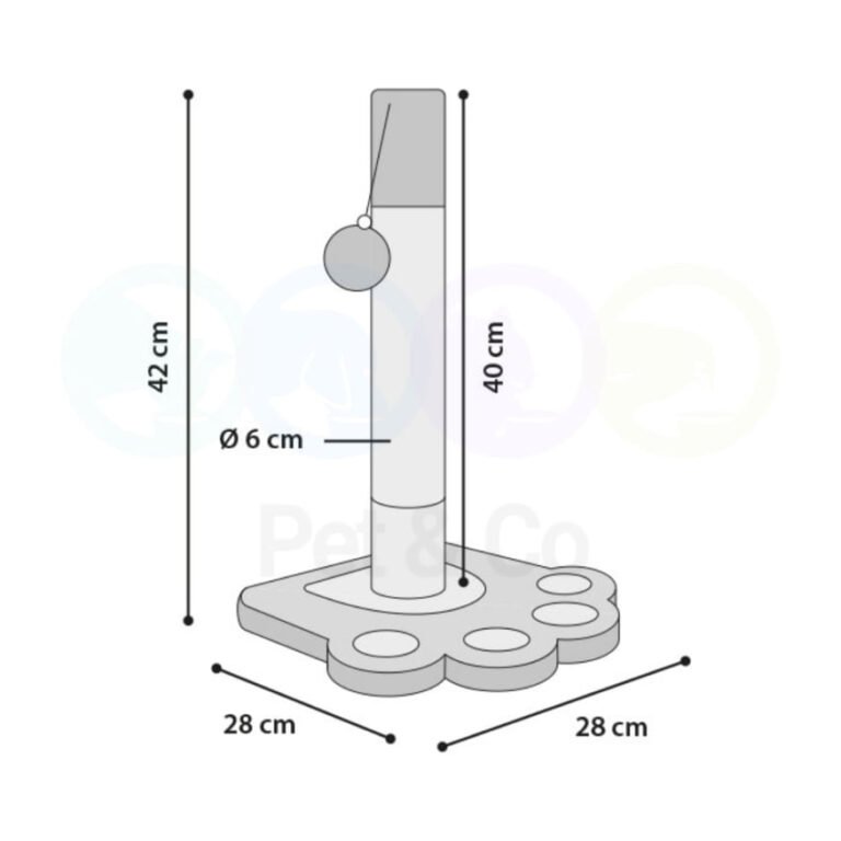194615579_219143360056166_6527050866496487543_n