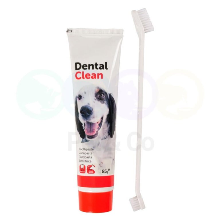 Dentifrice Dental Clean avec Brosse 85g - Flamingo