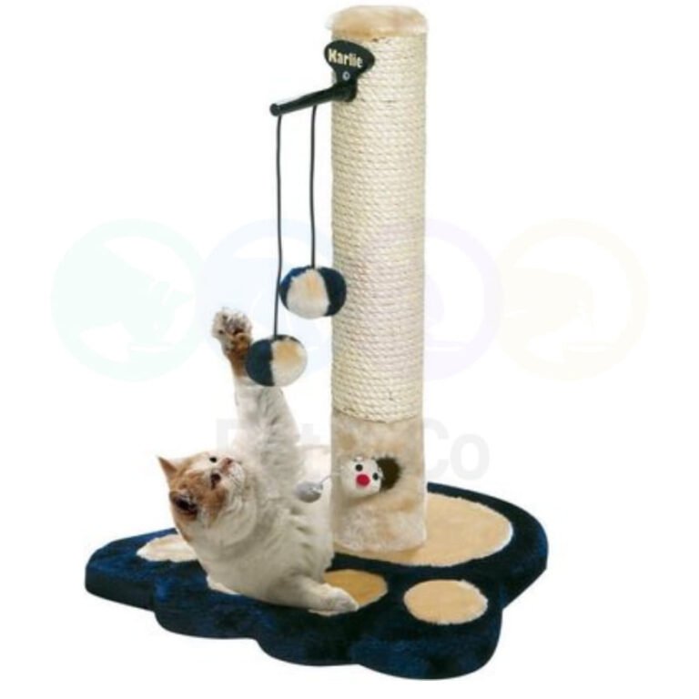 195314219_1137701506708142_3523036363840820539_n