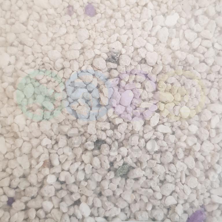 217672247_539841790490696_105075086408089812_n