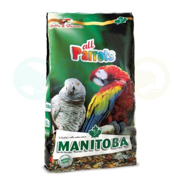 Mélange de graines pour perroquets 800g - Manitoba