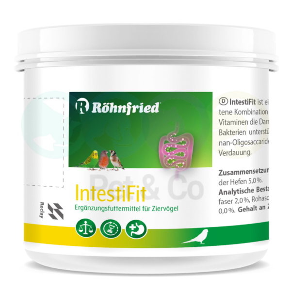 Intestifit 125g | Santé intestinale et digestion