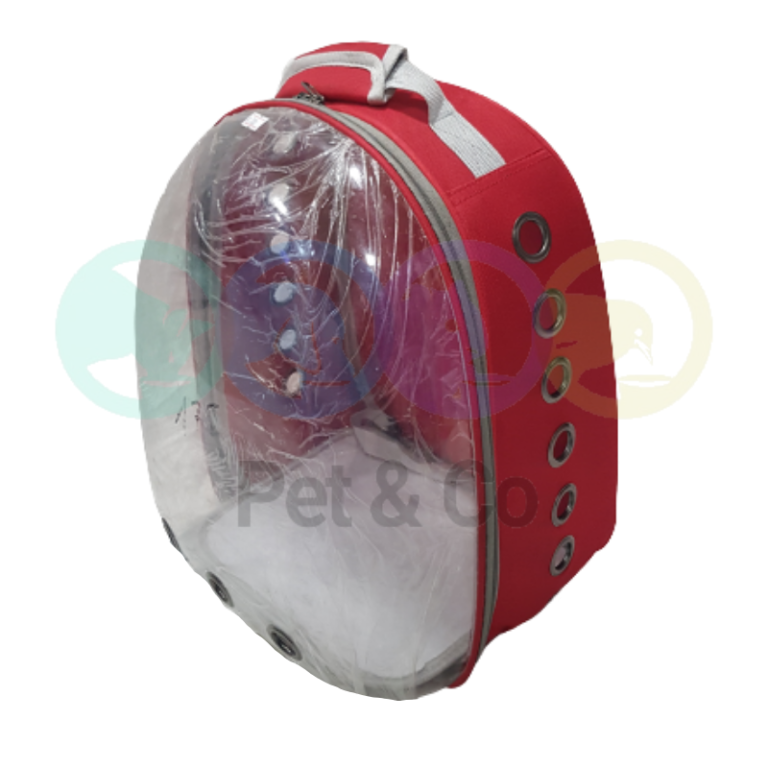 Sac à dos Transparent