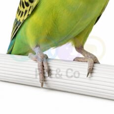 Bird Drawn Perch Rod 1m×12mm 2GR