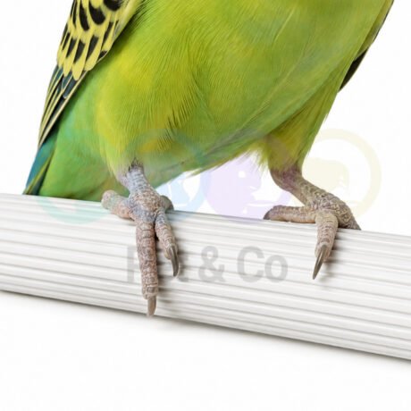 Bird Drawn Perch Rod 1m×12mm 2GR