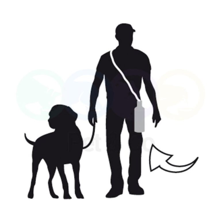 194836097_1592007464337007_1961168128948496602_n