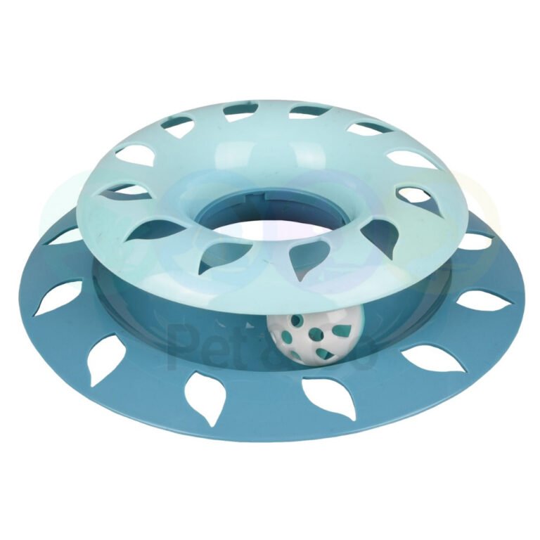 Circuit petit modèle