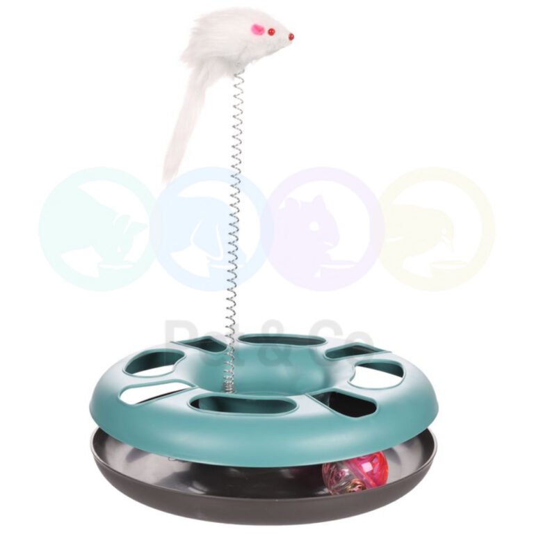 Circuit avec souris sur ressort