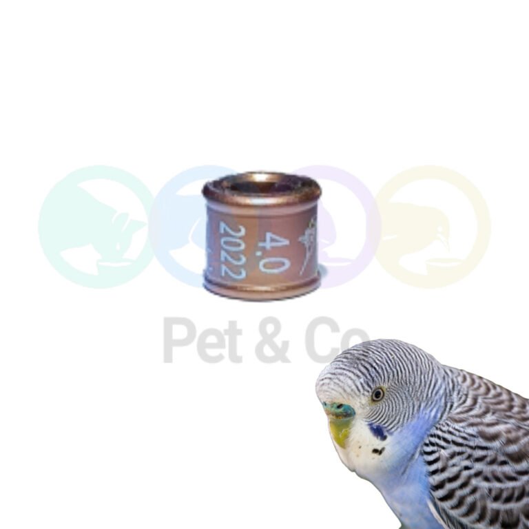 Bagues pour perruches