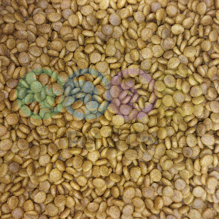 Newcatsalmon1