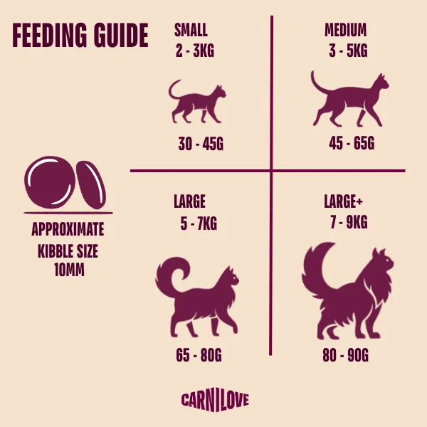 Feeding-Guide-Active-Cat-Lamb-Wild-Boar