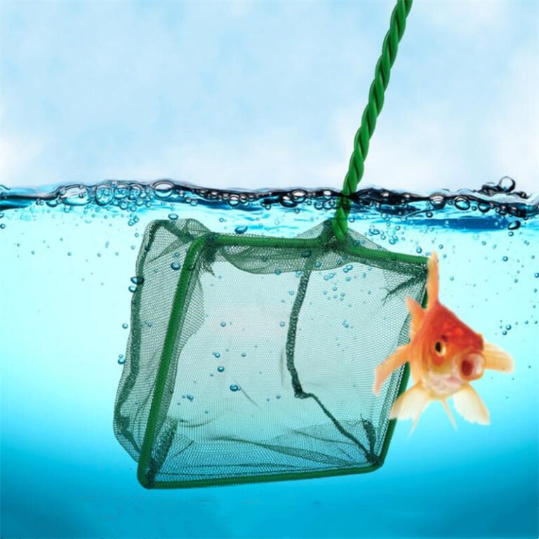 H03aa9359804a451399a032f5c8a9e6b40