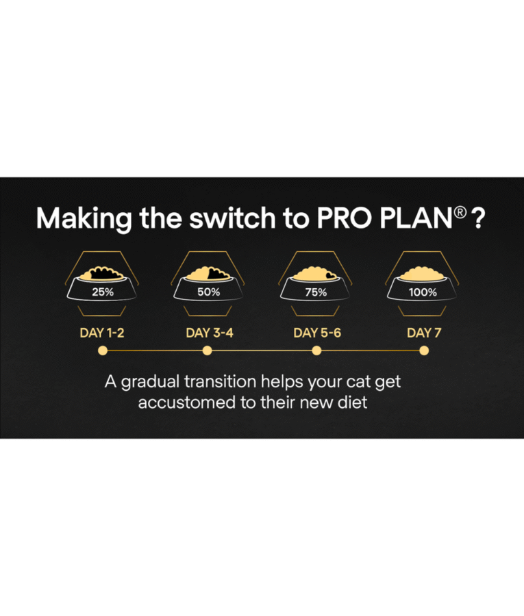 Large_-_2024-11-20T113007.182_952x1120