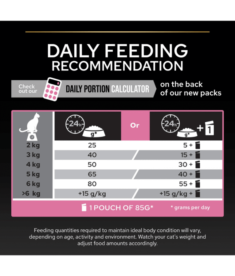 Large_-_2024-11-20T113105.436_952x1120