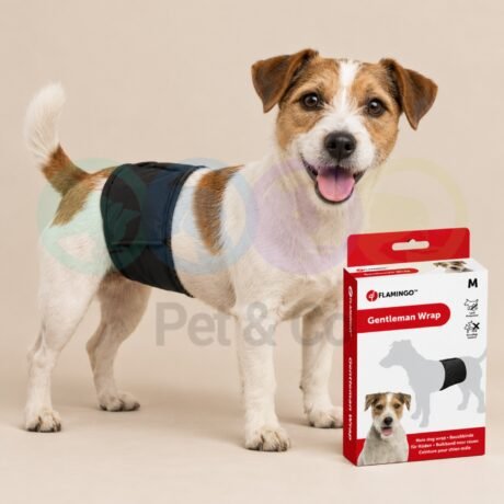 Dog Male Wrap