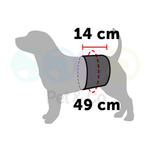 Ceinture pour chiens L - Flamingo - Image 2