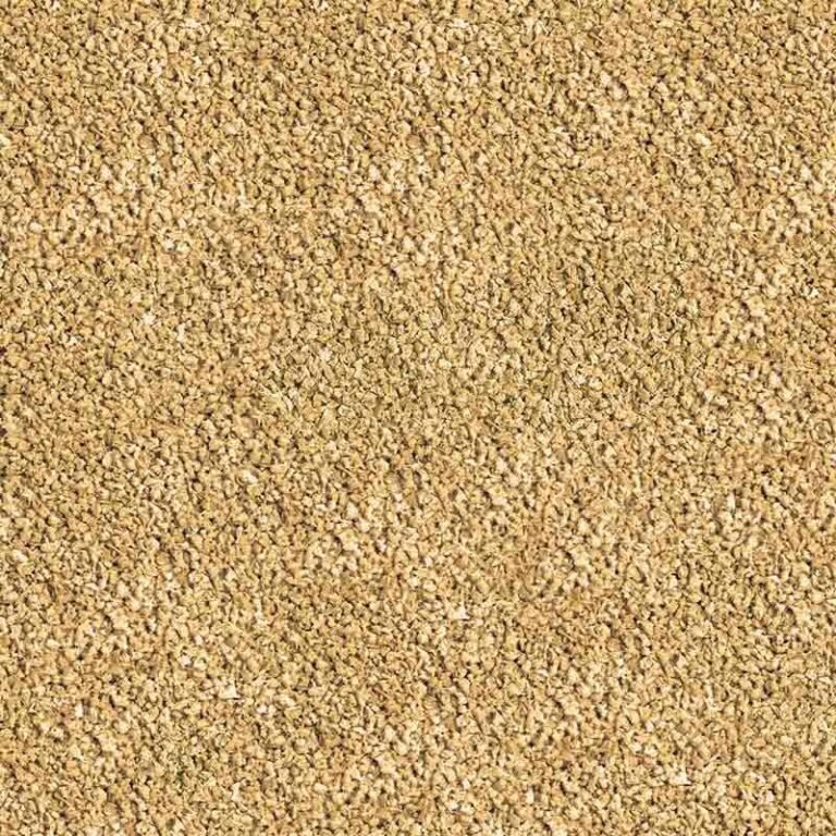 SERA-BETTAGRAN-pokarm-bojownik-granulat-24g-50ml-Postac-granulat.jpeg