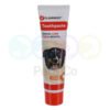 Toothpaste for Dogs Dafra with Chicken Flavour