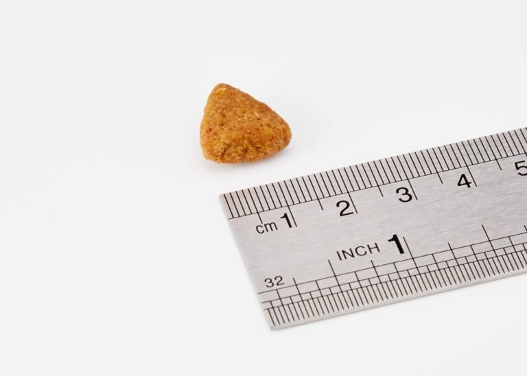 61YVTSoh3KL._AC_SL1500_