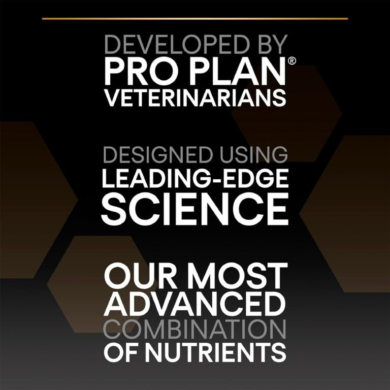 71UOz1eKf0L._AC_SL1500_