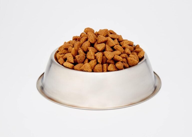 71fUakpXR6L._AC_SL1500_