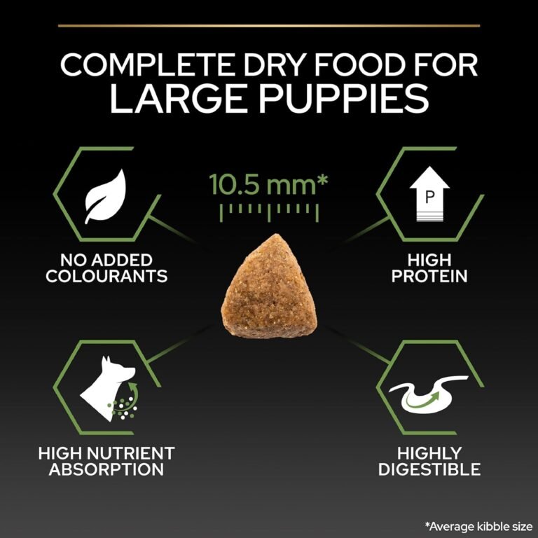 71hZBl1FvpL._AC_SL1500_